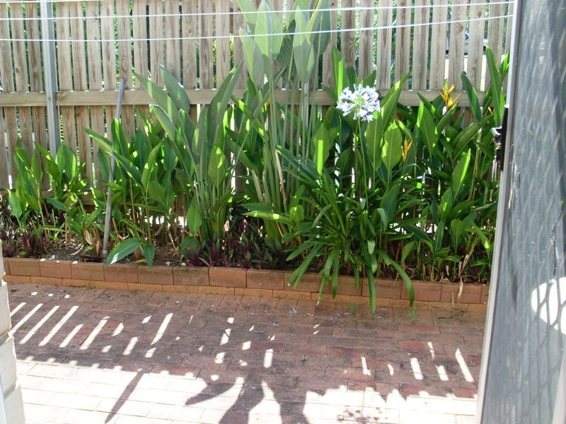 3/425 Underwood Road, Underwood QLD 4119