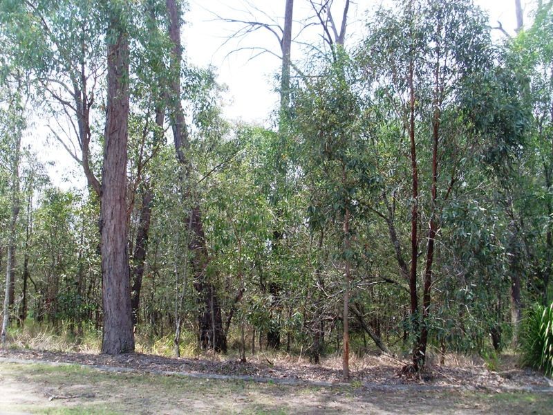 8 Shapcott Place, Runcorn QLD 4113