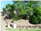 15 Chatfield Street, Edens Landing QLD 4207