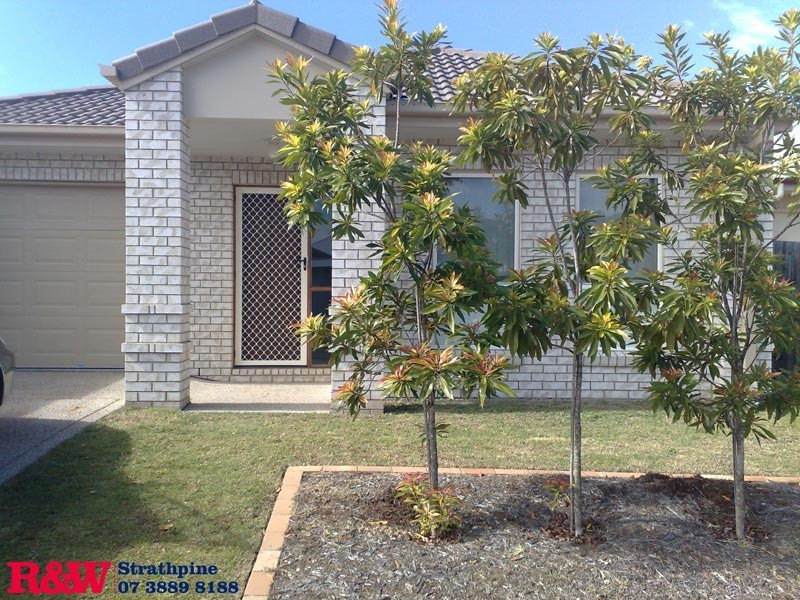 15 Silky Oak Crt, North Lakes QLD 4509