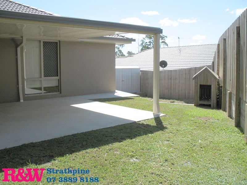 113 Kurrajong Dve, Warner QLD 4500