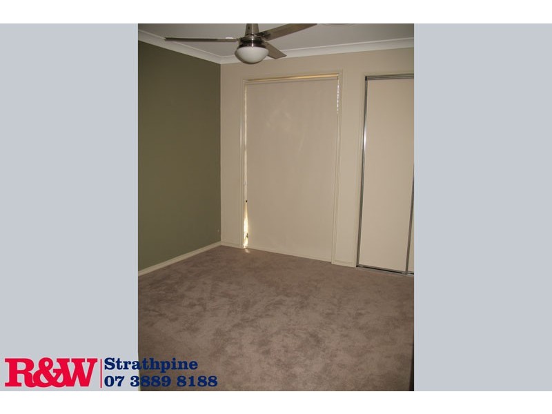 113 Kurrajong Dv, Warner QLD 4500
