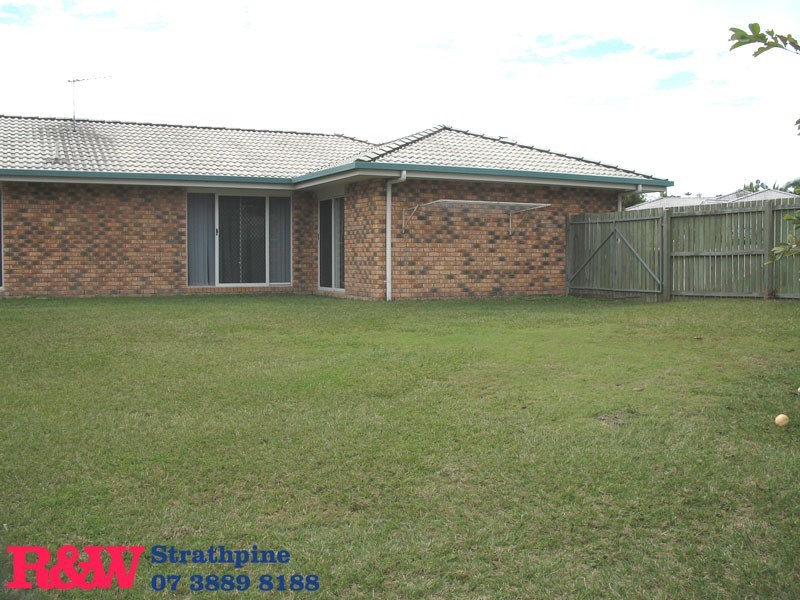 3 Brownia Court, Morayfield QLD 4506
