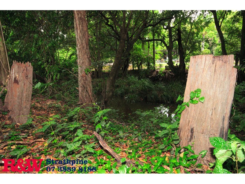 Bridgeman Downs QLD 4035