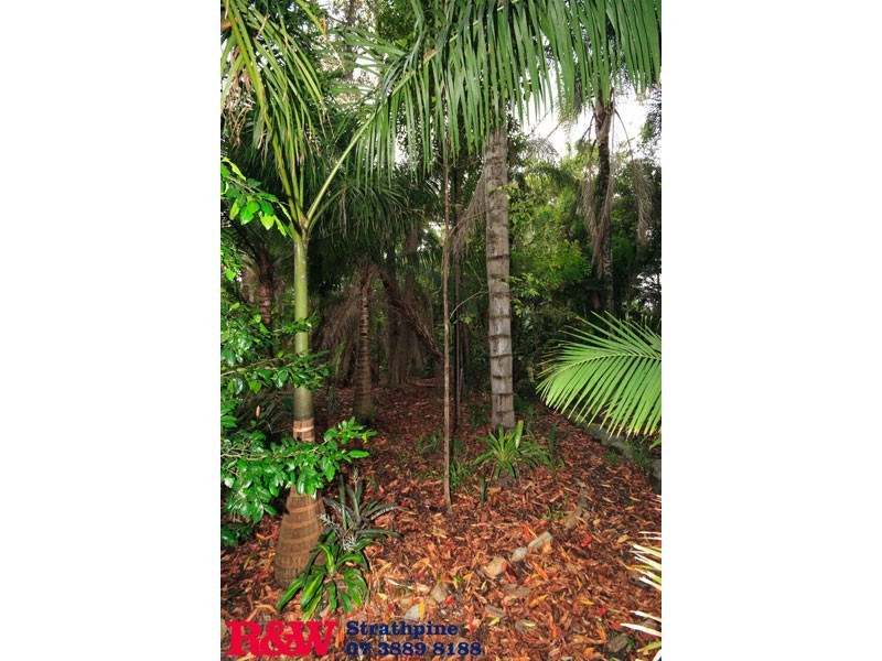 Bridgeman Downs QLD 4035