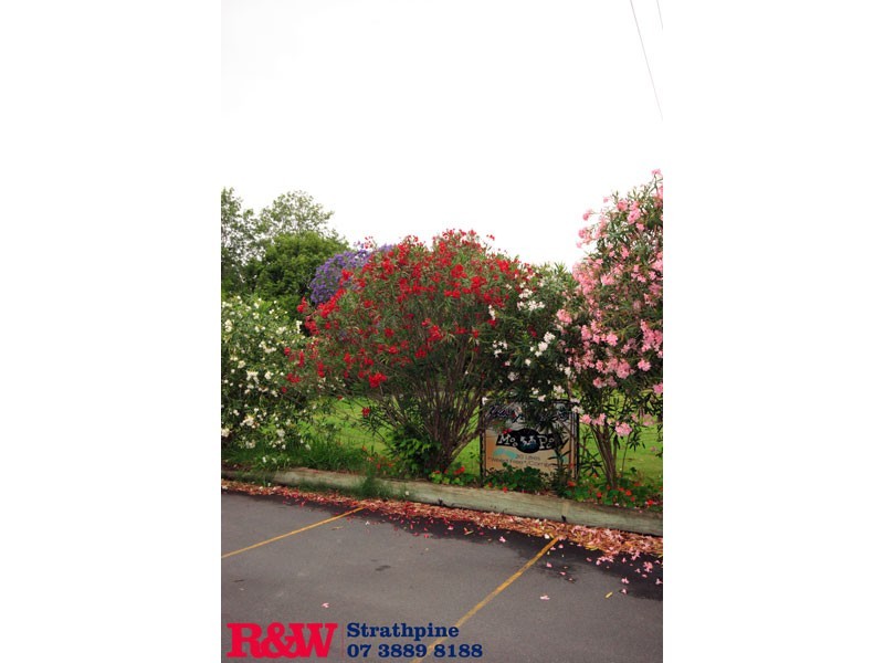 Bridgeman Downs QLD 4035