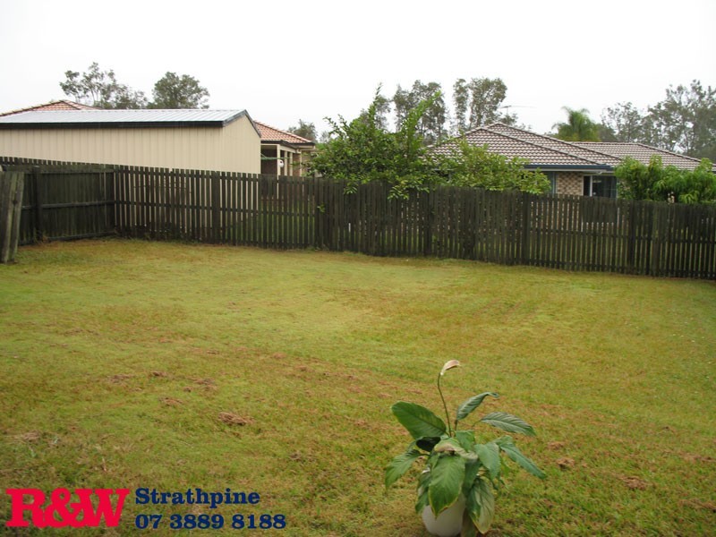 Morayfield QLD 4506