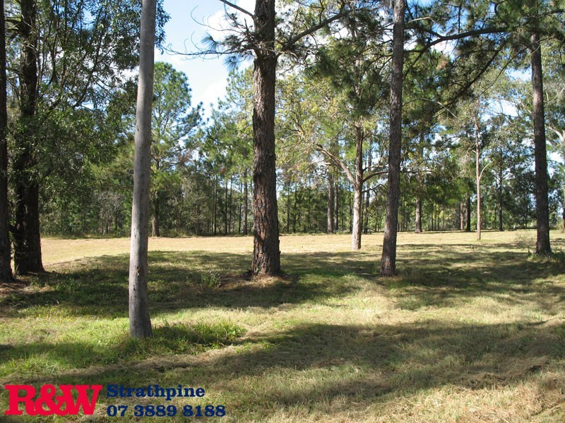 153 Browns Road, Kurwongbah QLD 4503