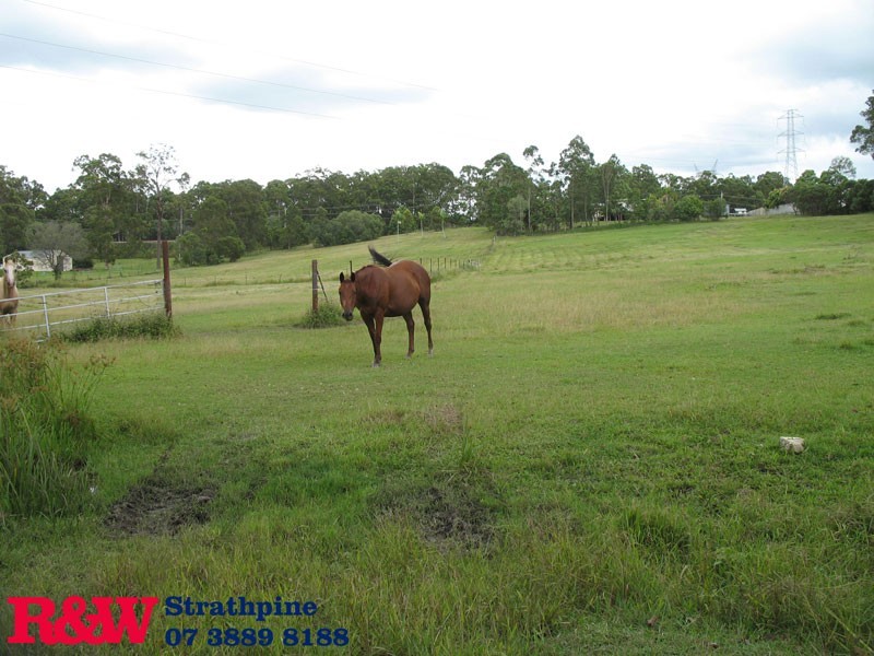 20 Sarow Drive, Warner QLD 4500