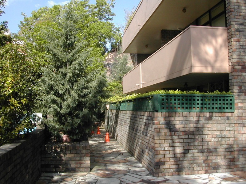 5/30 CROWS NEST ROAD, Waverton NSW 2060