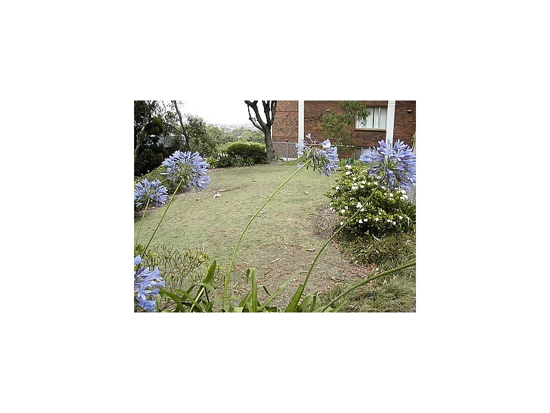 1/16 CARR STREET, Waverton NSW 2060