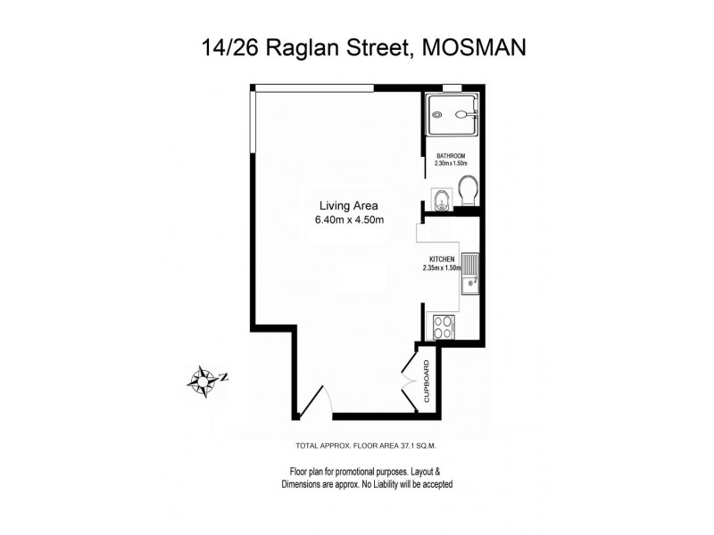 14/26  RAGLAN ST, Mosman NSW 2088