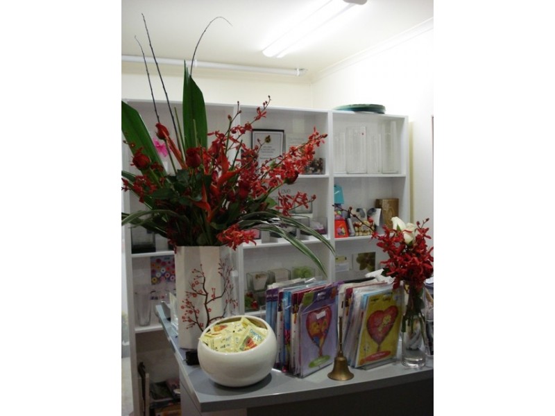 415 PACIFIC HWY, Crows Nest NSW 2065