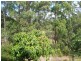 Sancrox NSW 2446