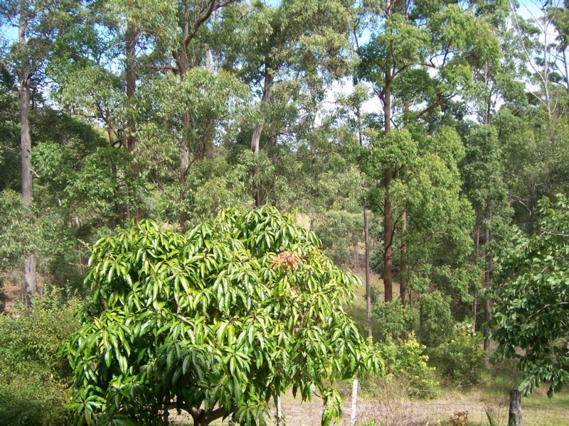 Sancrox NSW 2446