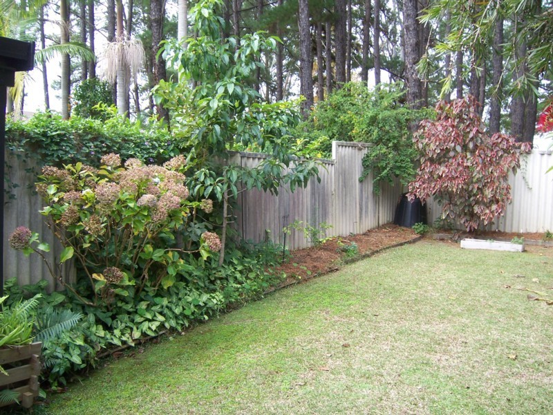3 Blackbutt Road, Wauchope NSW 2446