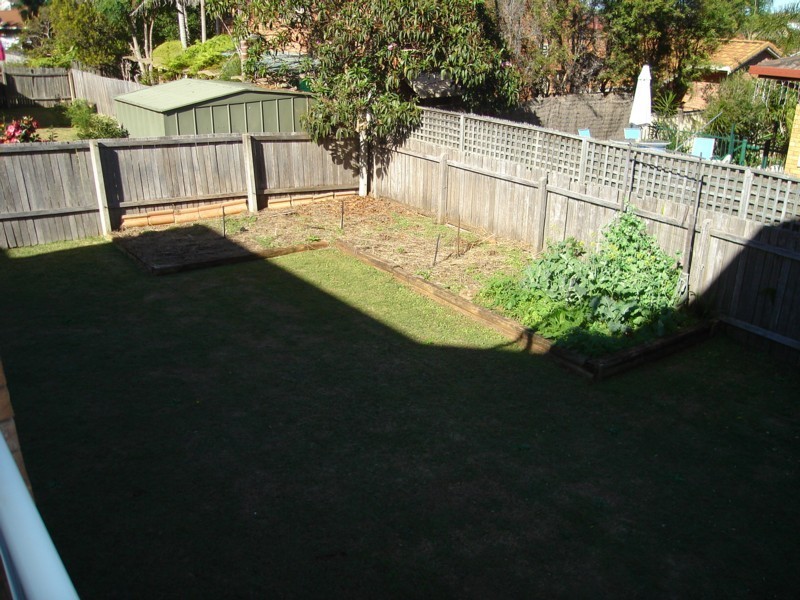 24 Cunning Street, Port Macquarie NSW 2444