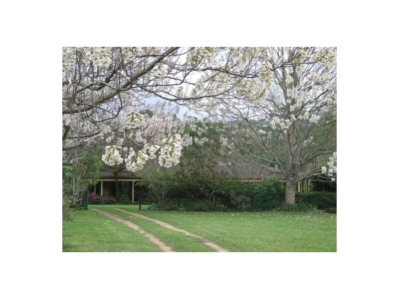 Rollands Plains NSW 2441