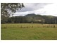 Rollands Plains NSW 2441