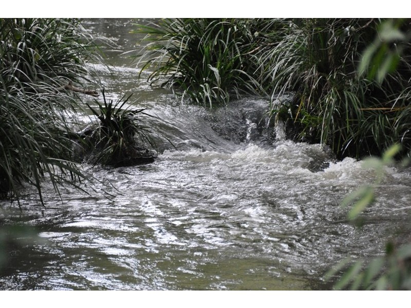 Rollands Plains NSW 2441