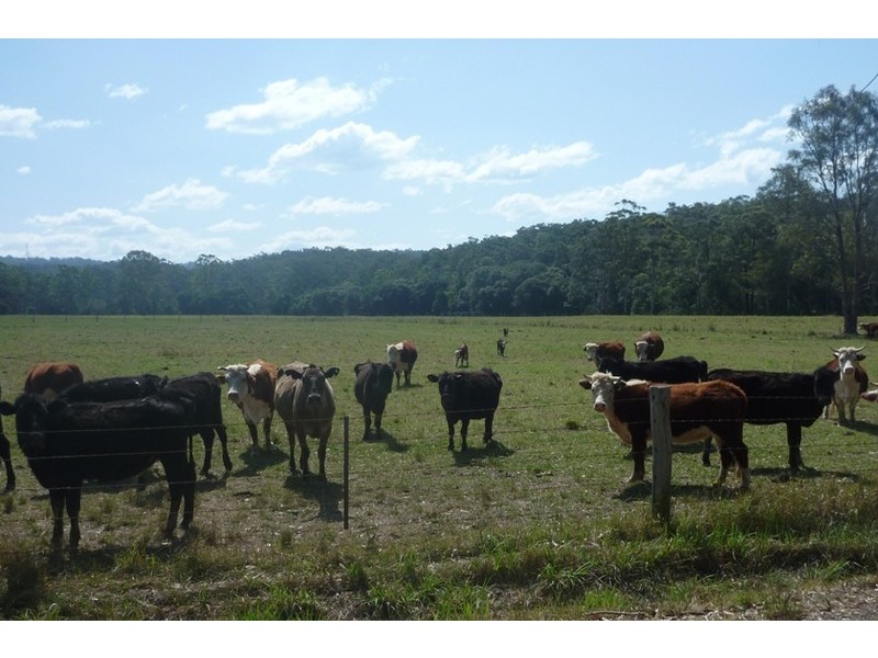 Cooperabung NSW 2441