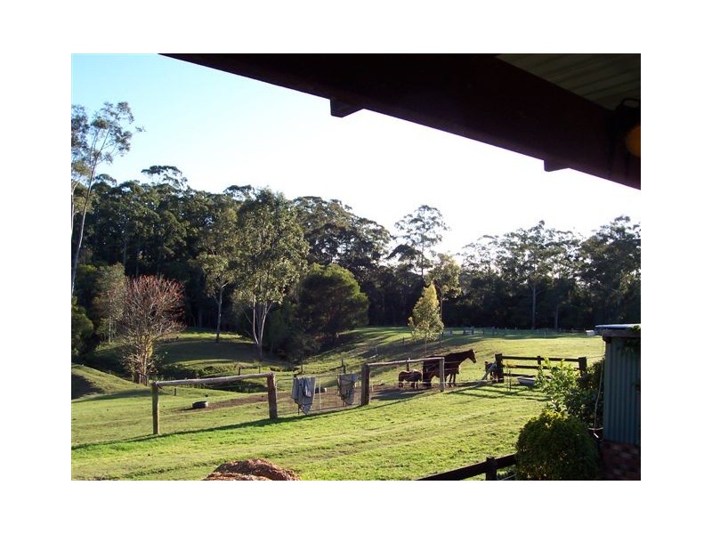 Pembrooke NSW 2446