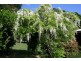 Pembrooke NSW 2446