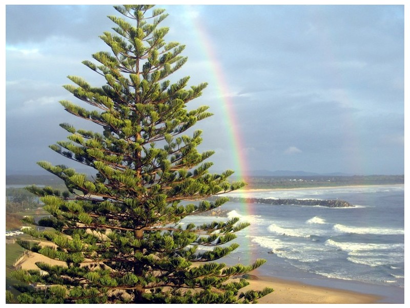 Port Macquarie NSW 2444