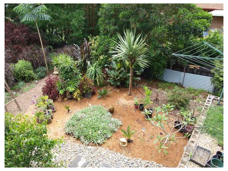 Port Macquarie NSW 2444