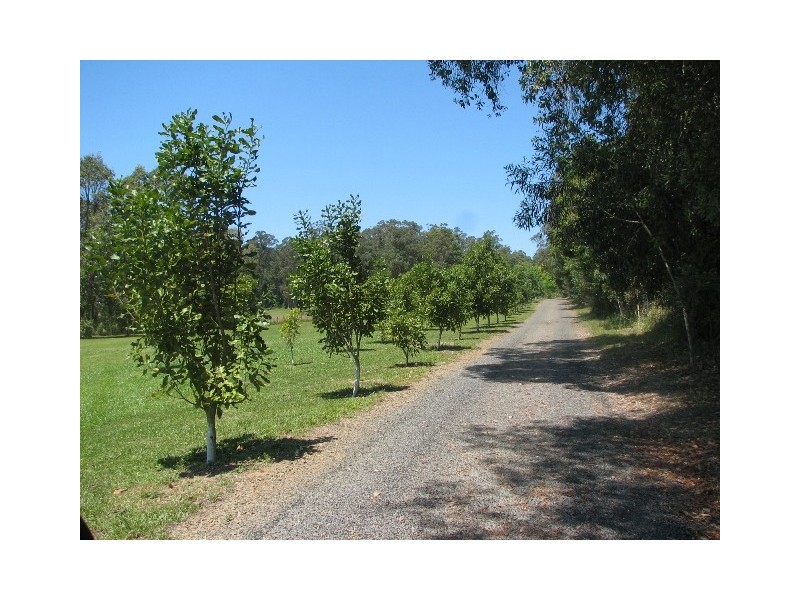 23 London Lane, Congarinni North NSW 2447