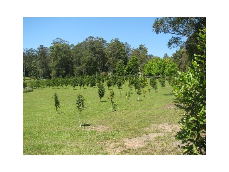 23 London Lane, Congarinni North NSW 2447