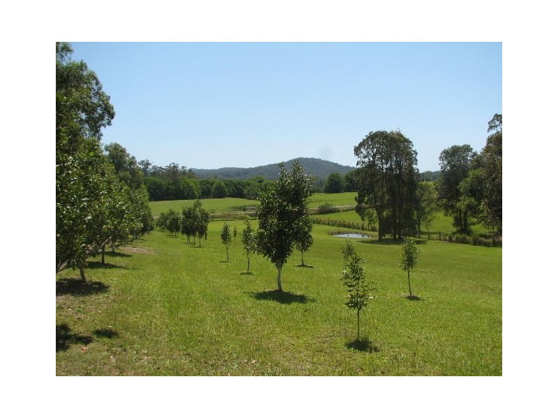 23 London Lane, Congarinni North NSW 2447