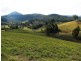 2111 Taylors Arm Rd, Taylors Arm NSW 2447