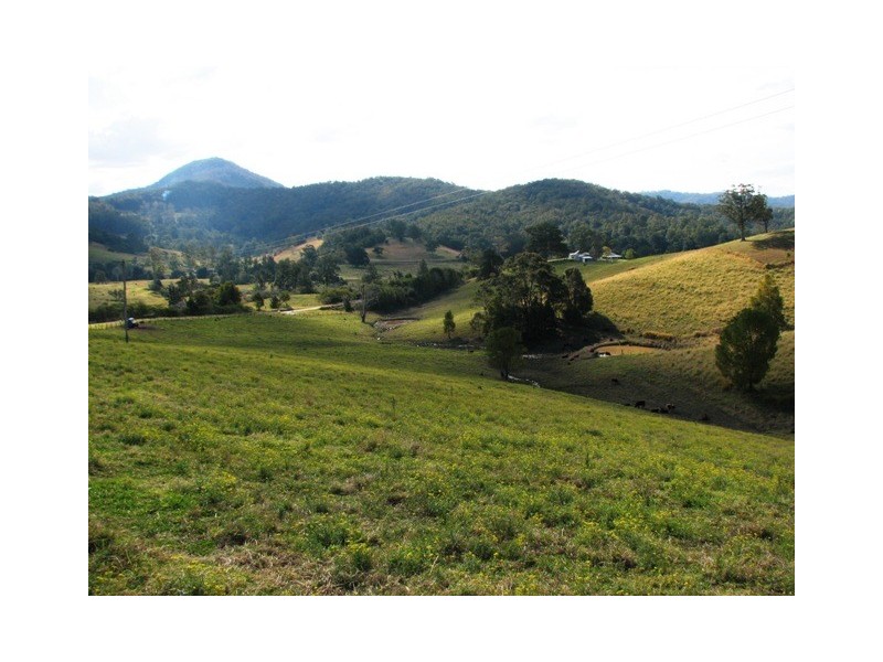 2111 Taylors Arm Rd, Taylors Arm NSW 2447
