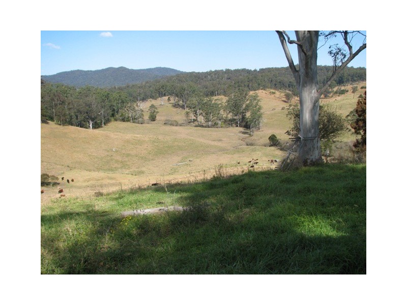2111 Taylors Arm Rd, Taylors Arm NSW 2447