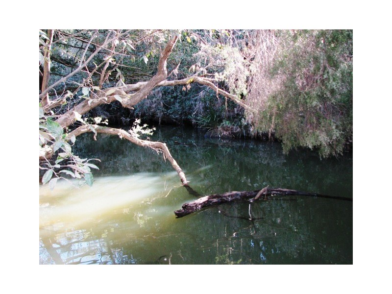2111 Taylors Arm Rd, Taylors Arm NSW 2447