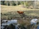 2111 Taylors Arm Rd, Taylors Arm NSW 2447
