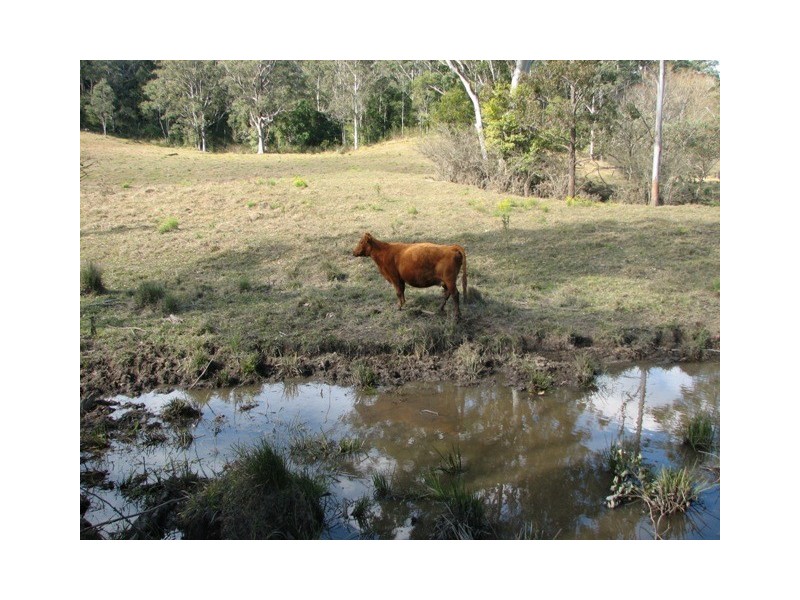 2111 Taylors Arm Rd, Taylors Arm NSW 2447