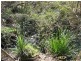 2111 Taylors Arm Rd, Taylors Arm NSW 2447