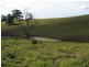 2111 Taylors Arm Rd, Taylors Arm NSW 2447