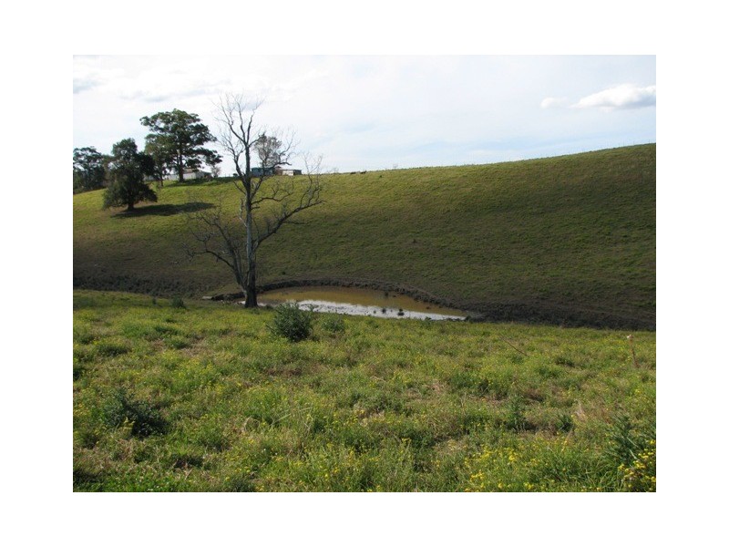 2111 Taylors Arm Rd, Taylors Arm NSW 2447