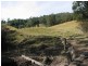 2111 Taylors Arm Rd, Taylors Arm NSW 2447