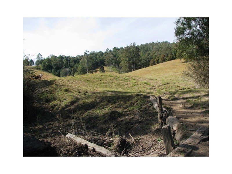 2111 Taylors Arm Rd, Taylors Arm NSW 2447