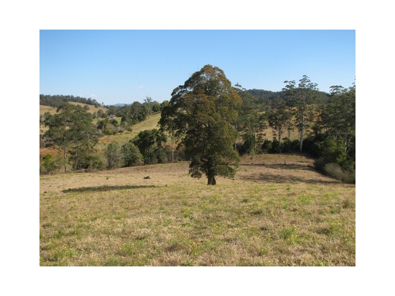 2111 Taylors Arm Rd, Taylors Arm NSW 2447