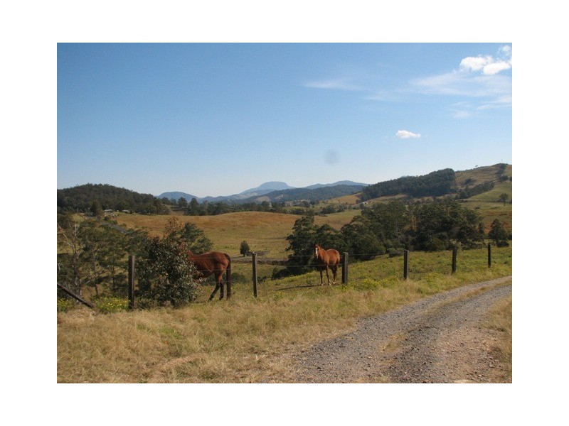 2111 Taylors Arm Rd, Taylors Arm NSW 2447