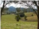 2111 Taylors Arm Rd, Taylors Arm NSW 2447