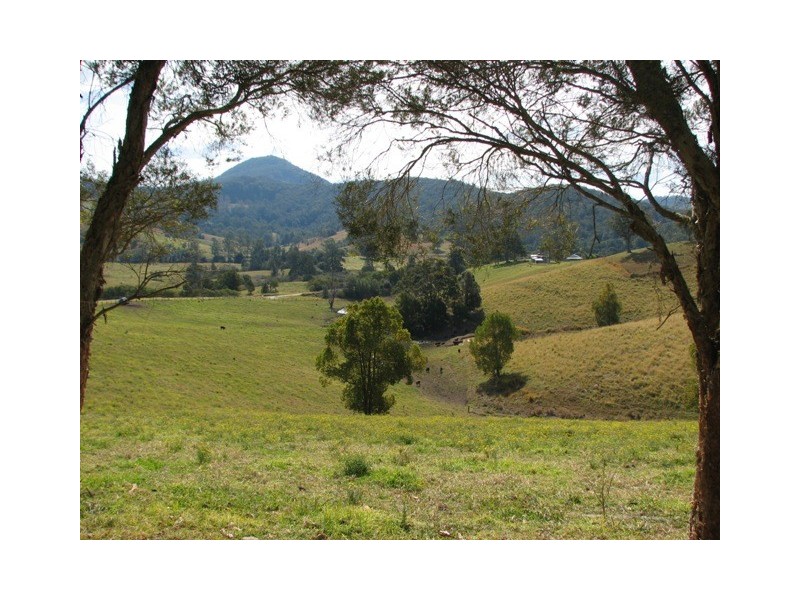 2111 Taylors Arm Rd, Taylors Arm NSW 2447