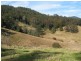 2111 Taylors Arm Rd, Taylors Arm NSW 2447