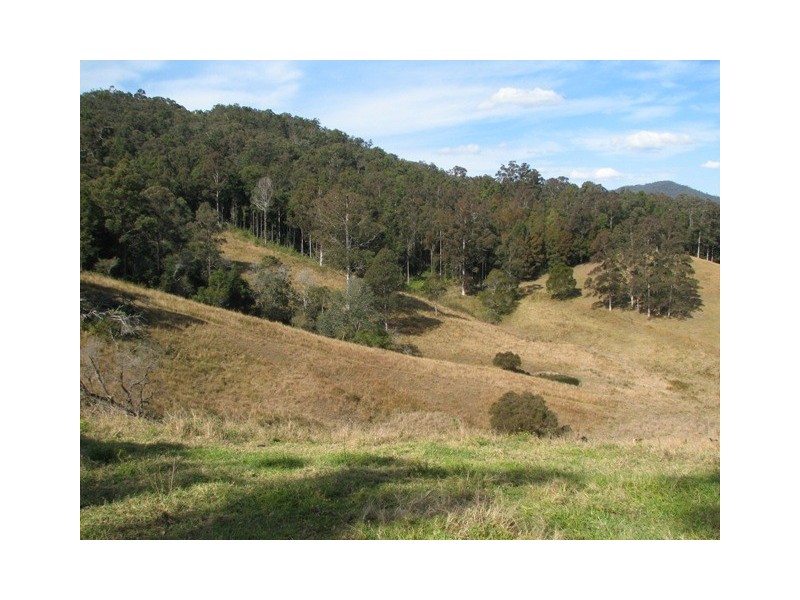 2111 Taylors Arm Rd, Taylors Arm NSW 2447