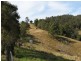 2111 Taylors Arm Rd, Taylors Arm NSW 2447